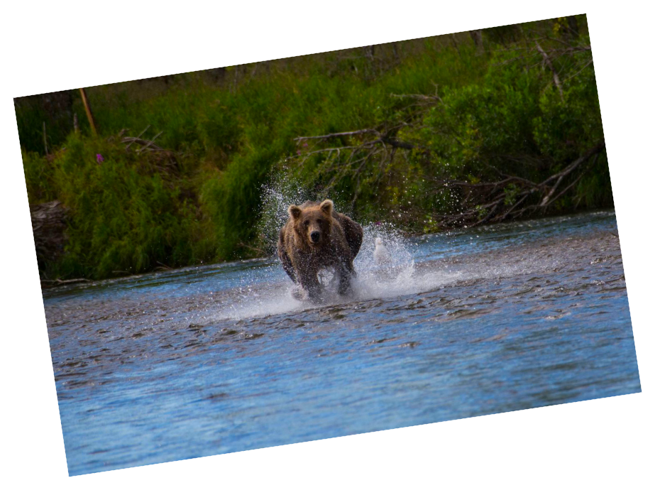 Woman fishing in Alaska