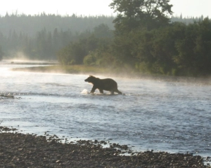Alaska