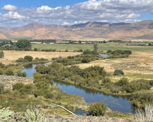 Silver Creek