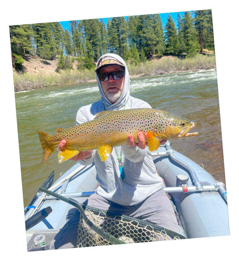 Blackfoot River, Montana fish