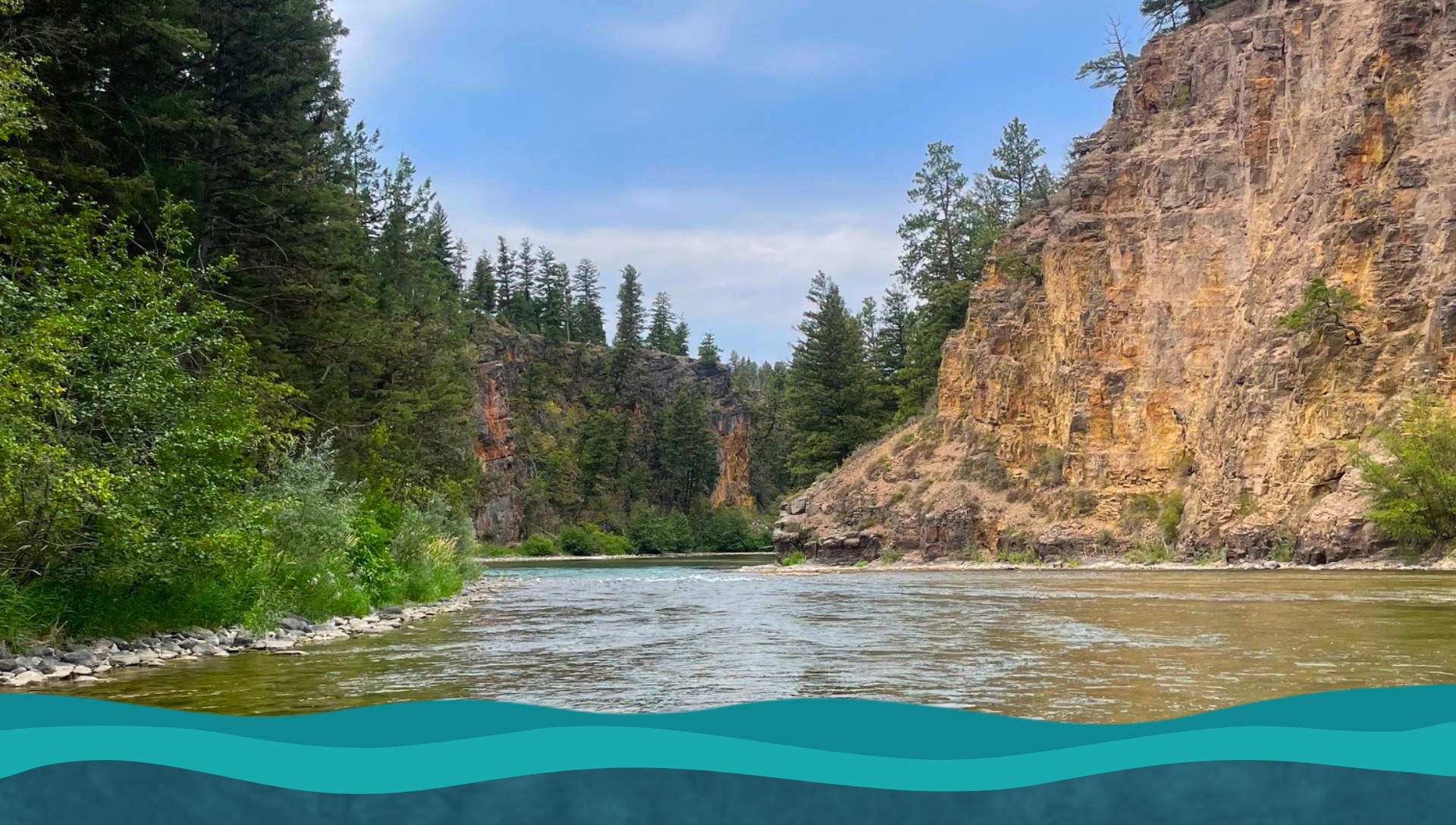 Montana FlyFishing